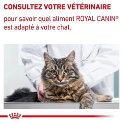 Royal Canin Veterinary Chat Mature Consult Balance 12 X 85 G 19 Royal Canin Veterinary Chat Mature Consult Balance 12 X 85 G -Animaux Séries Magasin royal canin veterinary chat mature consult balance 12 x 85 g 8