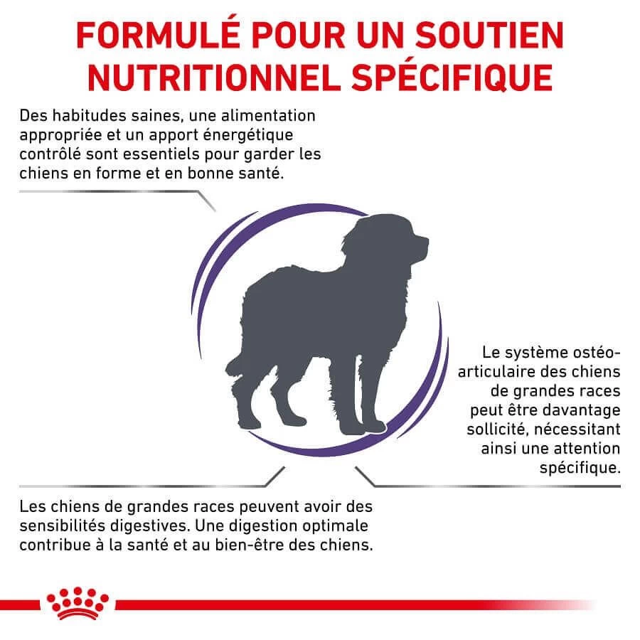 Royal Canin Veterinary Large Dog Adult 13 Kg 4 Royal Canin Veterinary Large Dog Adult 13 Kg – Image 2