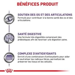 Royal Canin Veterinary Large Dog Adult 13 Kg 13 Royal Canin Veterinary Large Dog Adult 13 Kg -Animaux Séries Magasin royal canin veterinary large dog adult 13 kg 4