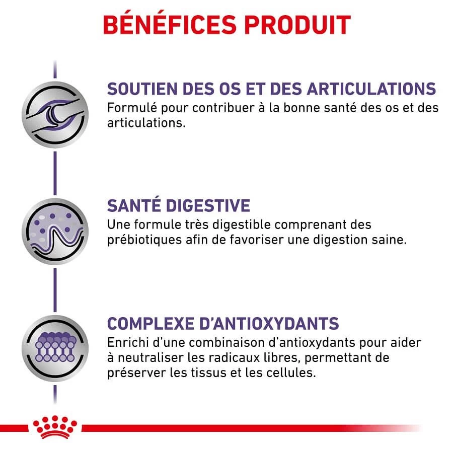 Royal Canin Veterinary Large Dog Adult 13 Kg 6 Royal Canin Veterinary Large Dog Adult 13 Kg – Image 4