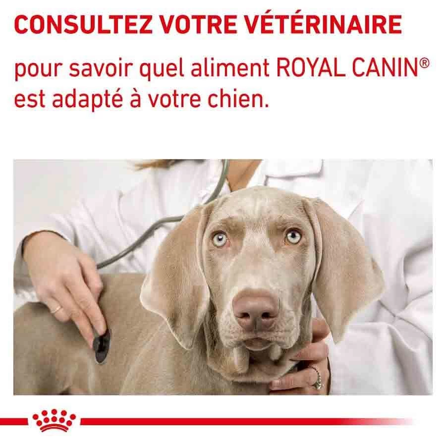 Royal Canin Veterinary Large Dog Adult 13 Kg 10 Royal Canin Veterinary Large Dog Adult 13 Kg – Image 8