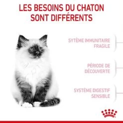Royal Canin Féline Health Nutrition Kitten Second Age 4 Kg -Animaux Séries Magasin royal canin f line health nutrition kitten second age 2 3
