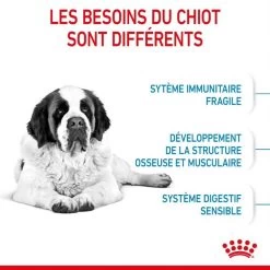 Royal Canin Junior Giant 15 Kg -Animaux Séries Magasin royal canin junior giant 2 1
