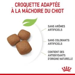 Royal Canin Junior Giant 15 Kg -Animaux Séries Magasin royal canin junior giant 4