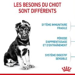 Royal Canin Vet Puppy Maxi 4 Kg -Animaux Séries Magasin royal canin puppy maxi 2 1