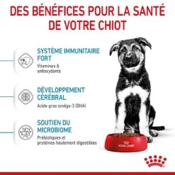Royal Canin Vet Puppy Maxi 4 Kg -Animaux Séries Magasin royal canin puppy maxi 3