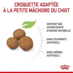 Royal Canin Vet Puppy Maxi 4 Kg -Animaux Séries Magasin royal canin puppy maxi 4
