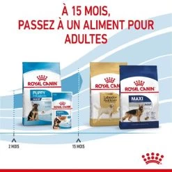 Royal Canin Vet Puppy Maxi 4 Kg -Animaux Séries Magasin royal canin puppy maxi 5