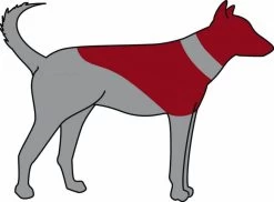 Trixie Carcan Gonflable Pour Chien S 7 Trixie Carcan Gonflable Pour Chien S -Animaux Séries Magasin trixie carcan gonflable pour chien s3