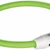 Trixie Collier Lumineux USB Flash Vert Chien L-XL -Animaux Séries Magasin trixie collier lumineux safer life usb flash vert pour chien l xl