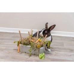 Trixie Mangeoire Pour Rongeurs 26 X 23 X 17 Cm -Animaux Séries Magasin trixie mangeoire pour rongeurs 26 x 23 x 17 cm 5