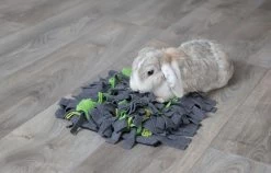 Trixie Tapis à Renifler Pour Lapin Et Cochon D'inde 27 × 20 Cm -Animaux Séries Magasin trixie tapis a renifler pour lapin et cochon d inde4