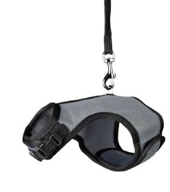 Trixie Harnais Soft Avec Laisse Pour Rongeur 14-19 Cm -Animaux Séries Magasin trixie harnais soft avec laisse pour rongeur lapin nains