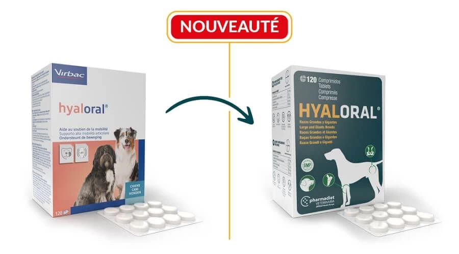 Virbac HYALORAL Chien Plus De 5 Kg 360 Cp 4 Virbac HYALORAL Chien Plus De 5 Kg 360 Cp – Image 2