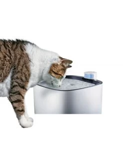 Zolux Fontaine à Eau Iguazu 3 L -Animaux Séries Magasin zolux fontaine eau 3l iguazu 1